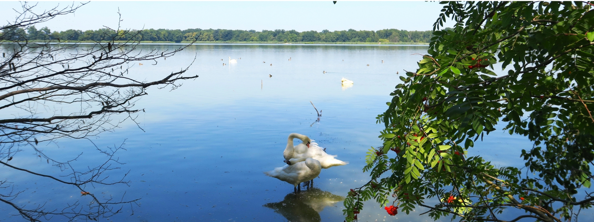 Park Krajobrazowy Cysterskie Kompozycje Krajobrazowe Rud Wielkich